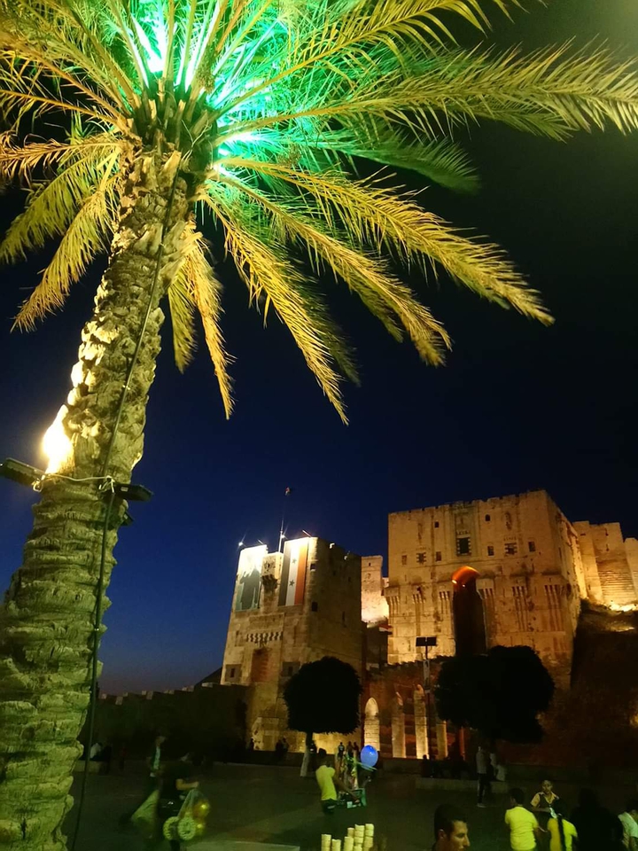 Aleppo citadel at night