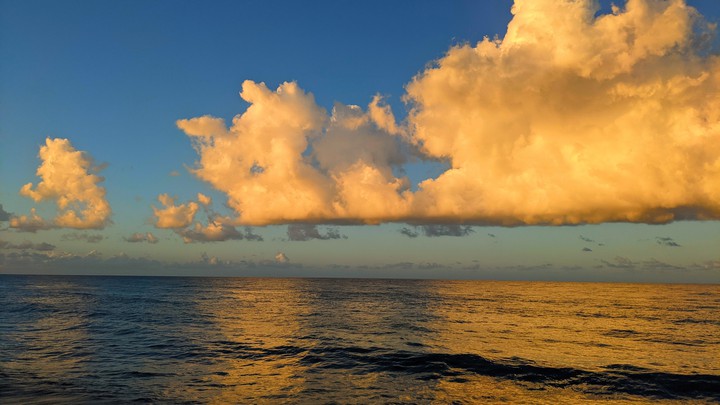 Buff Bay