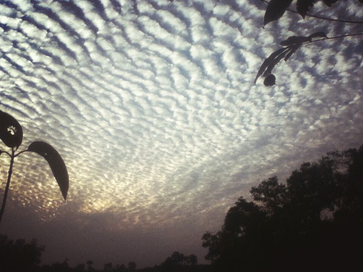 Sky