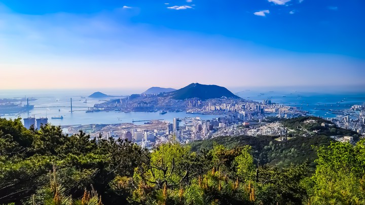 엄광산에서 본 영도