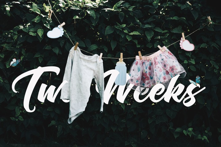 Two Weeks