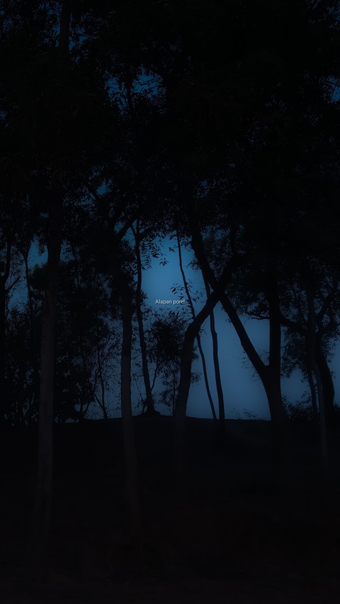 BEAUTY OF NIGHT