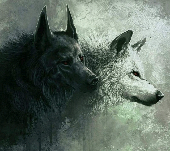 dogs