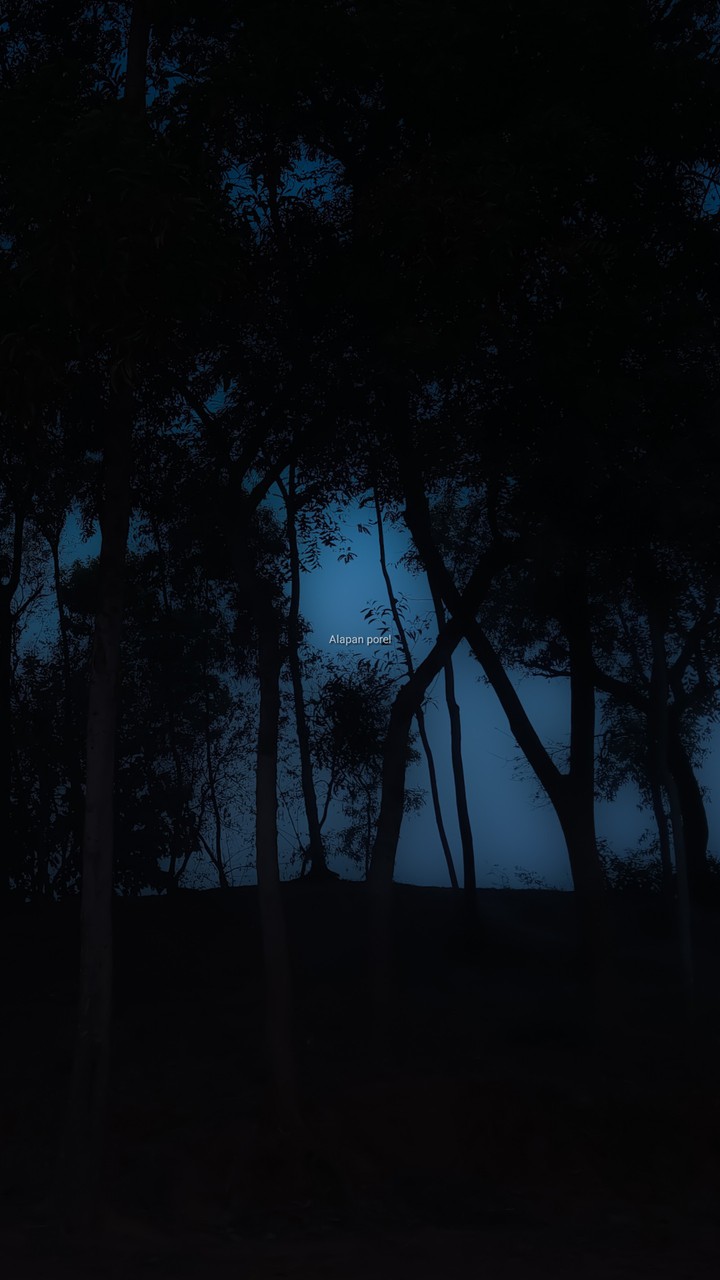 BEAUTY OF NIGHT
