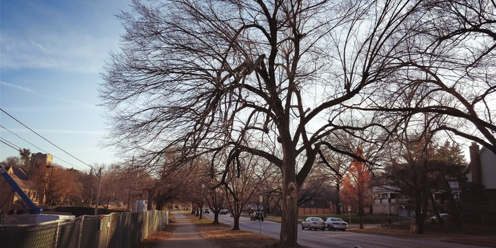 Umkc .. #KC art