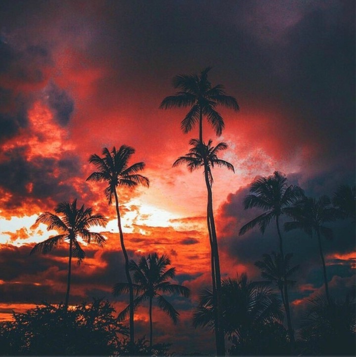 nature