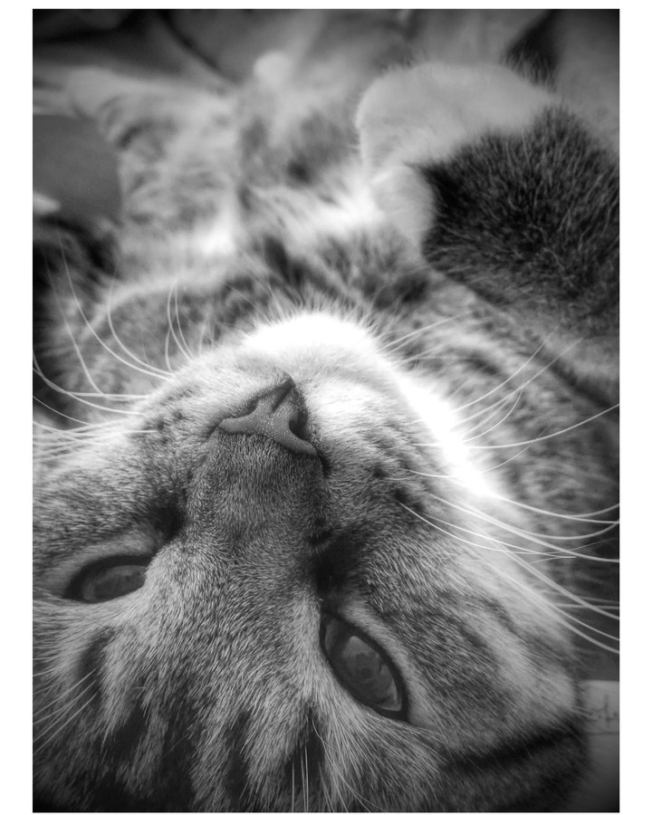 In black and white