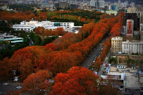 Autumn
