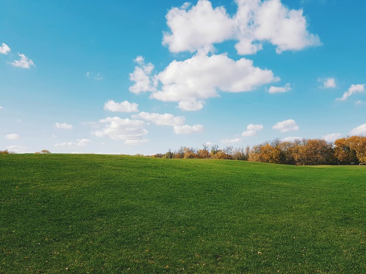 White, Blue, Green, and yellow; no are is like nature