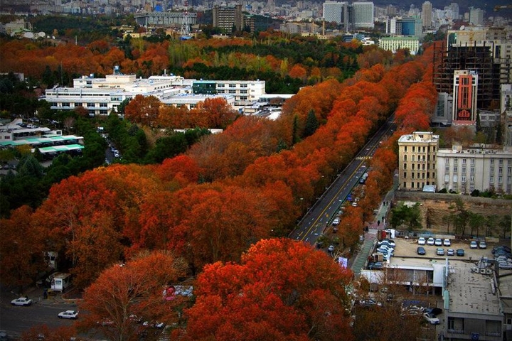 Autumn