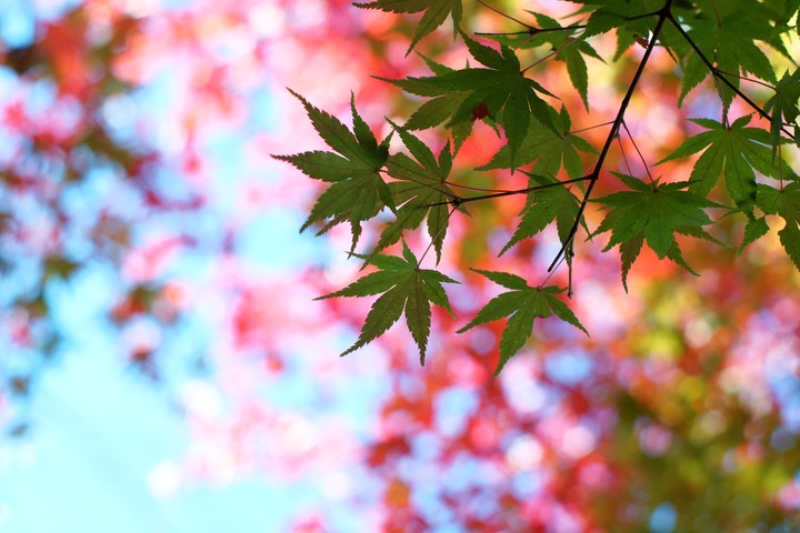 변화