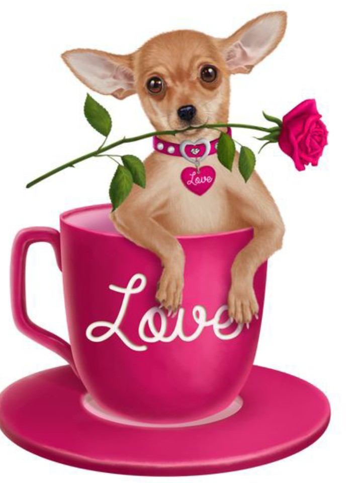 LOVE YOU