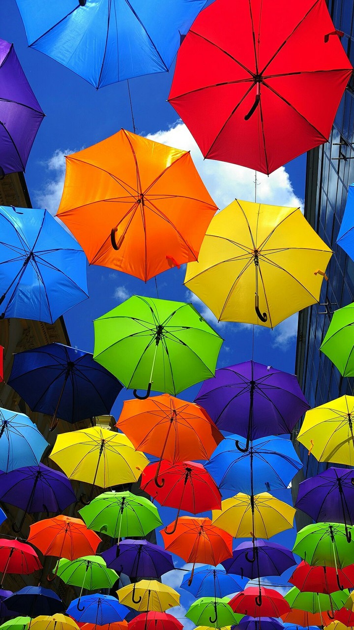 umbrella