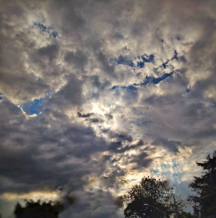 skies