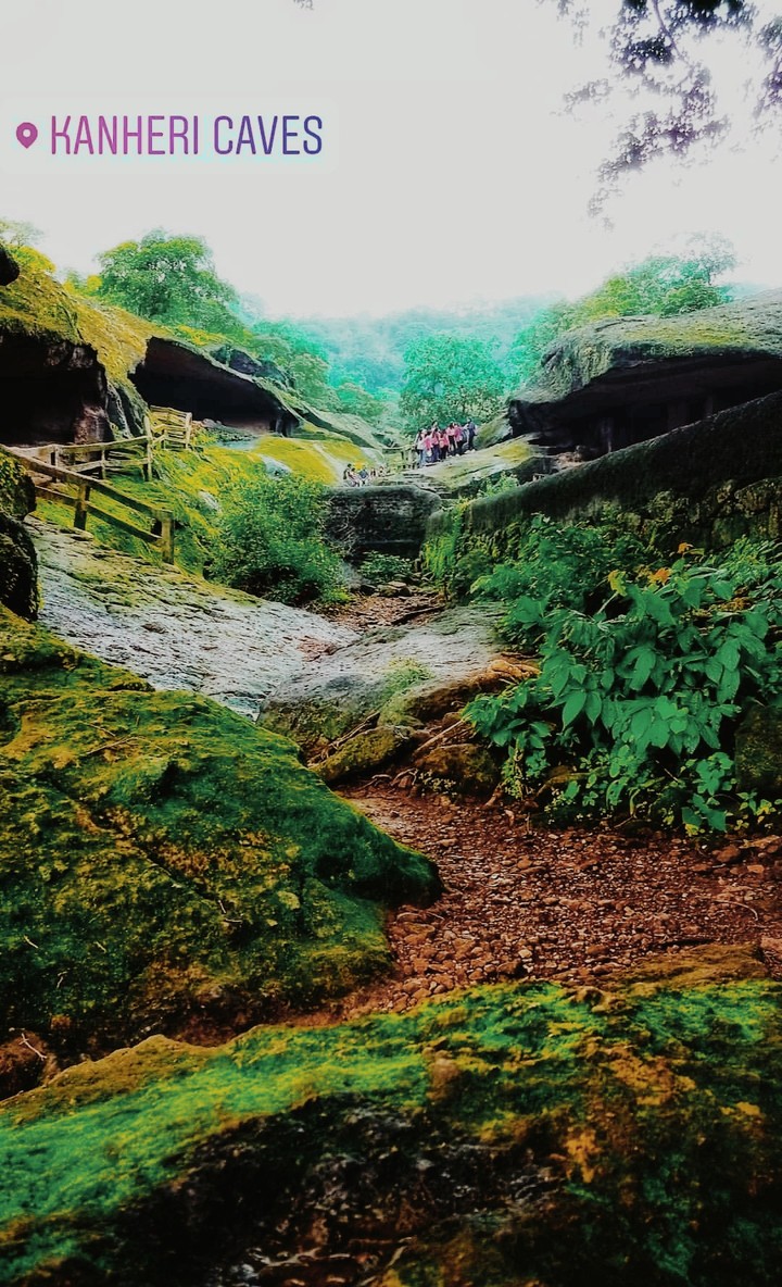 Beautiful nature of kanheri caves