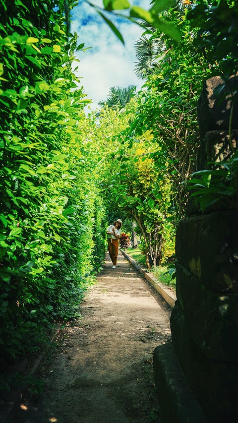 Green Alley
