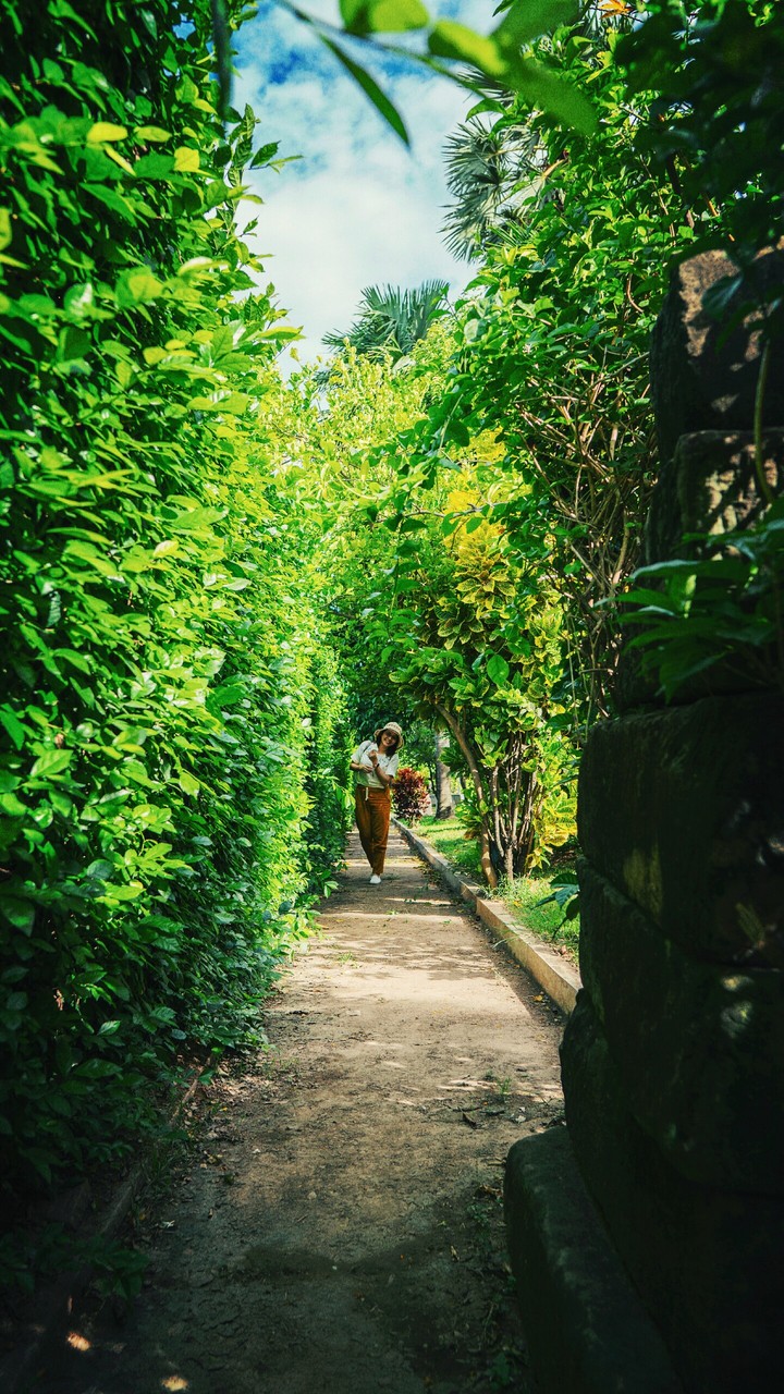 Green Alley