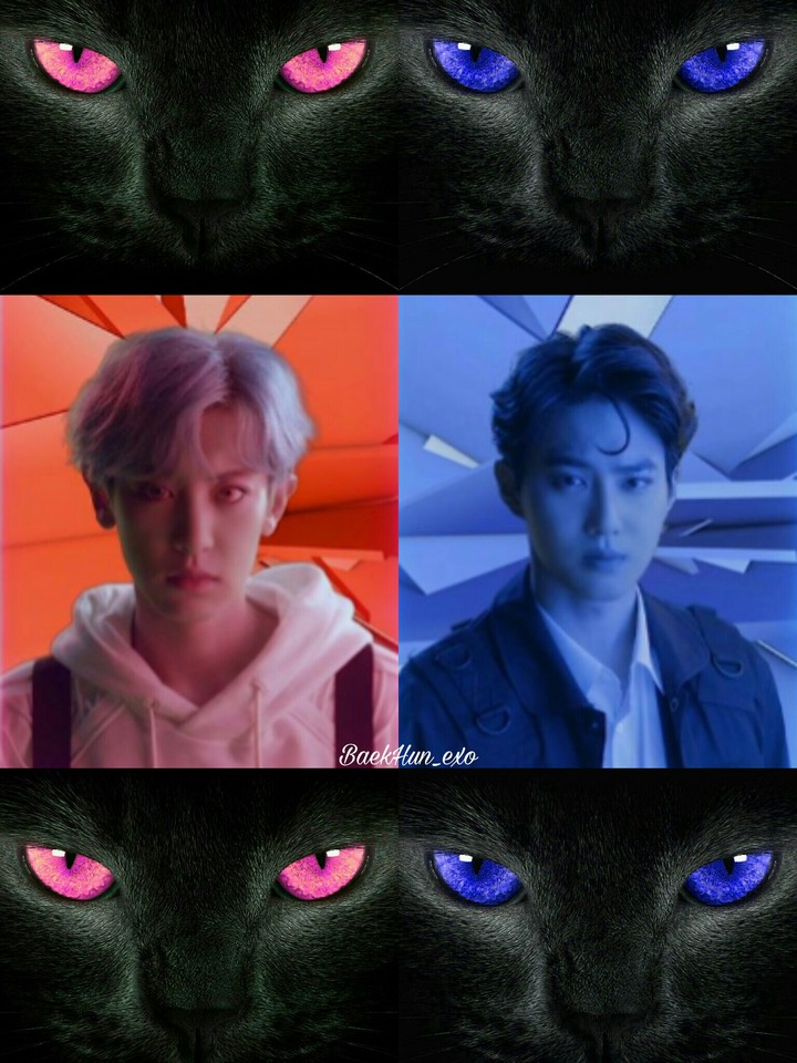 Chanyeol & Suho EXO
