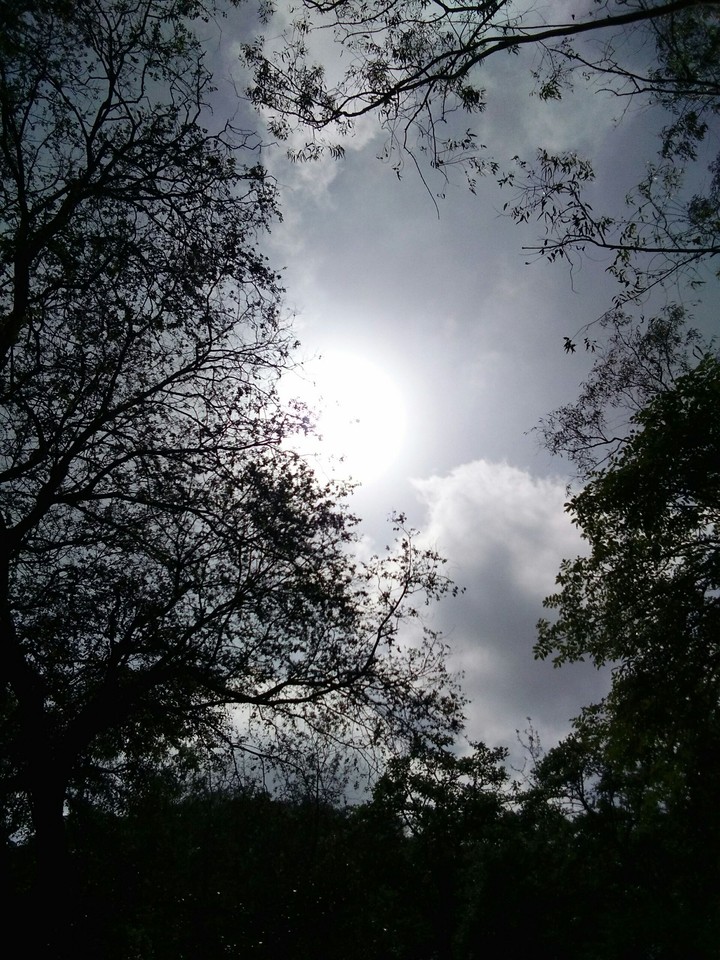 sky