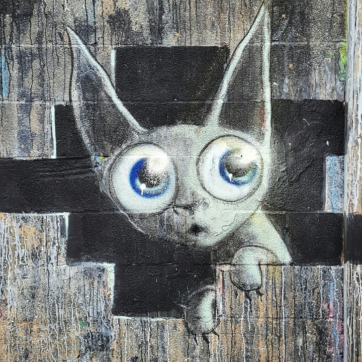 cute kitty