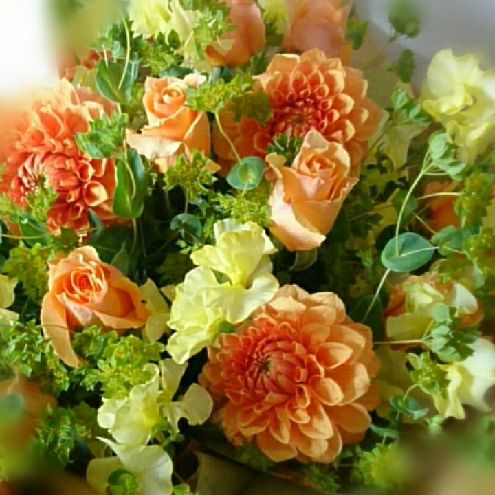 flowers