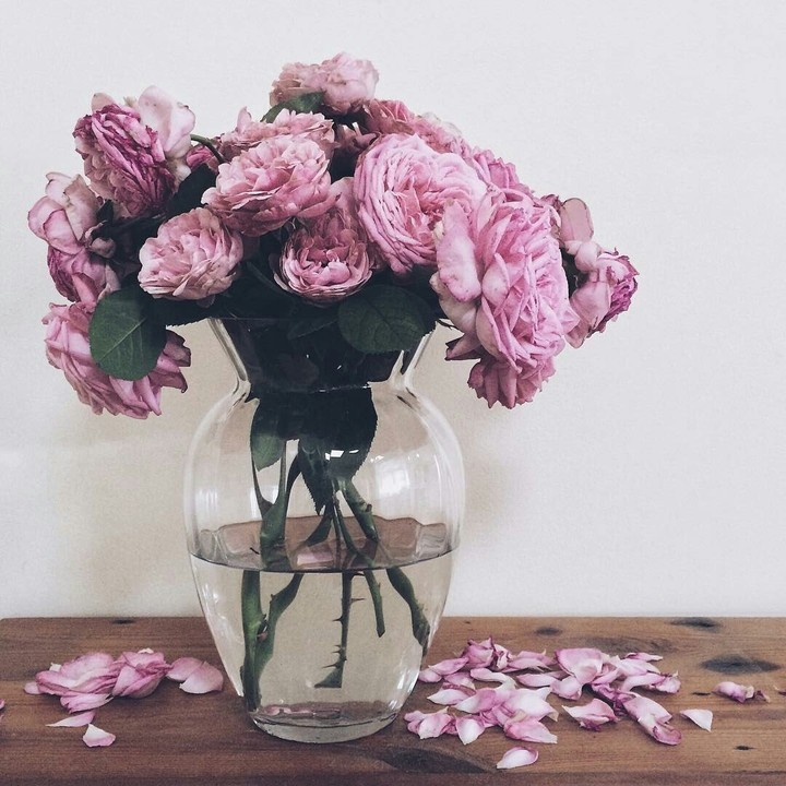 nice flowers ❤