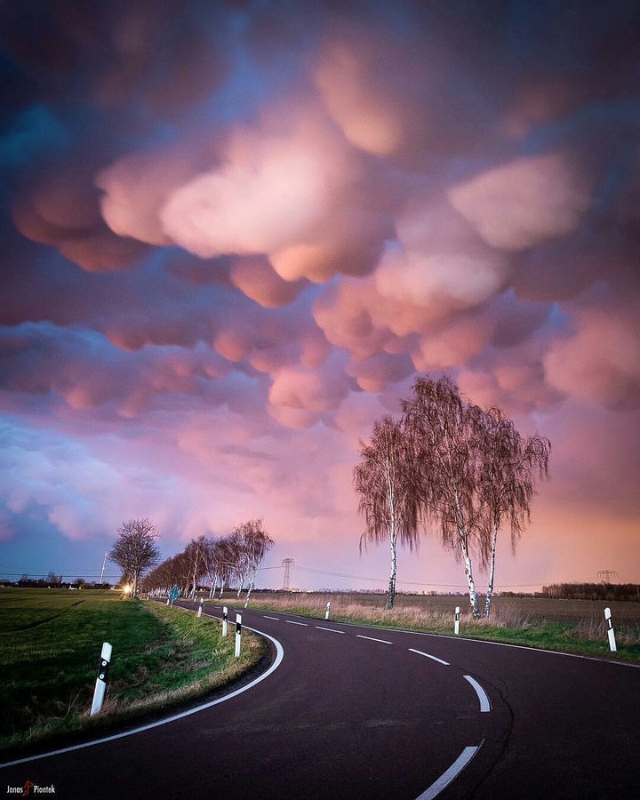 THE  WAY