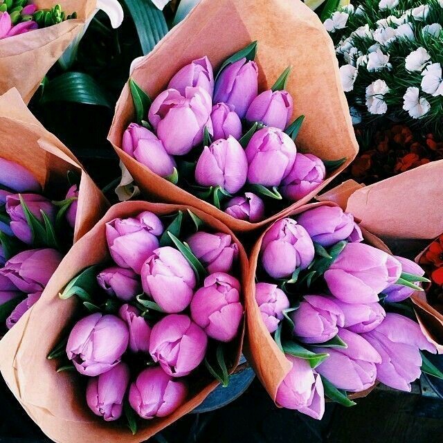 #Flower for The Best Ladies in OGQ