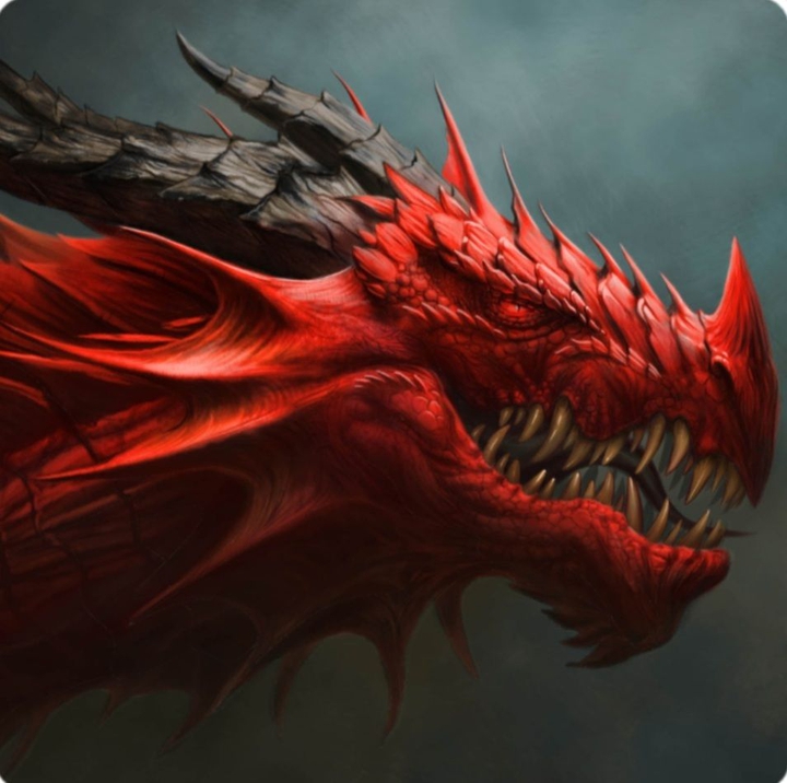 Drache