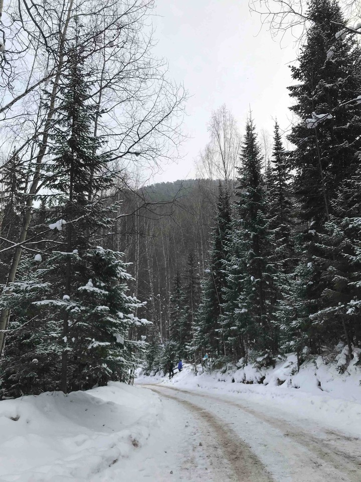 winter