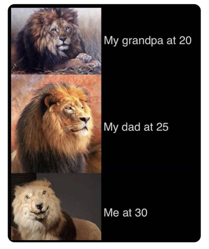 .
