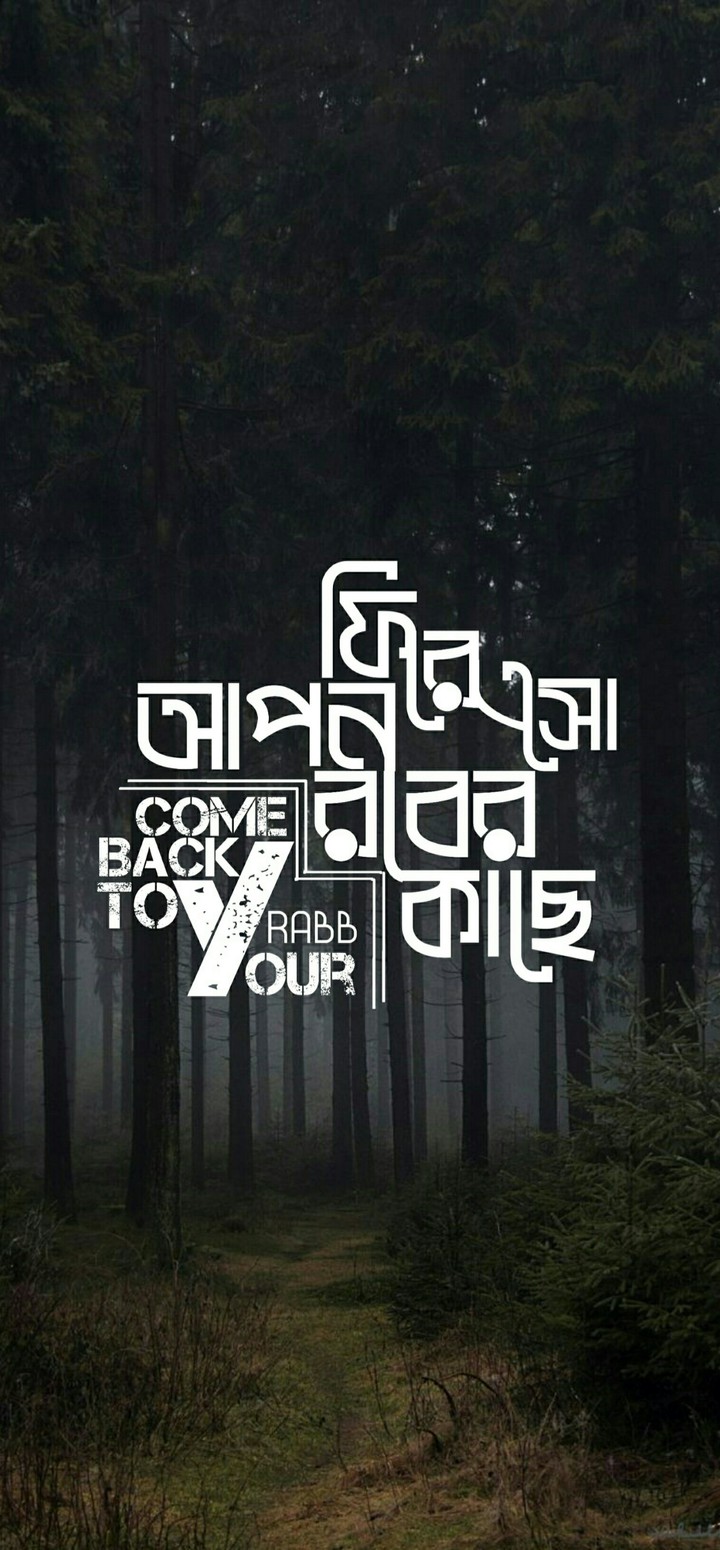 come back