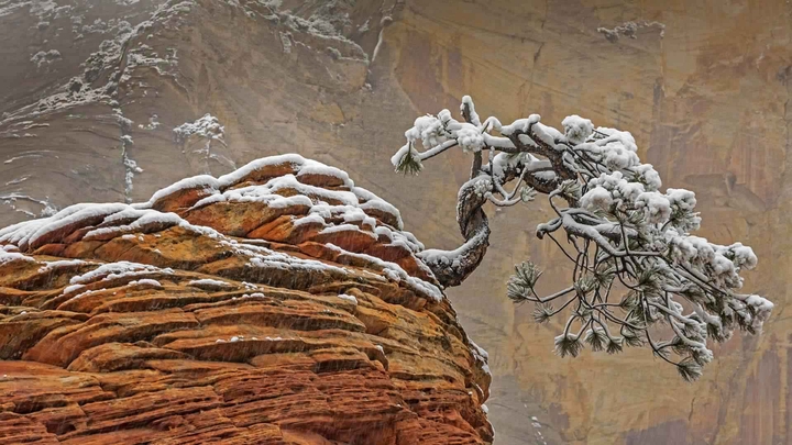 Snow in Zion National Park