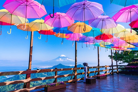 colorful umbrellas frame Mt Fuji
