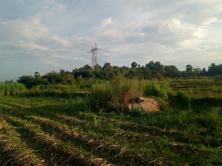 field