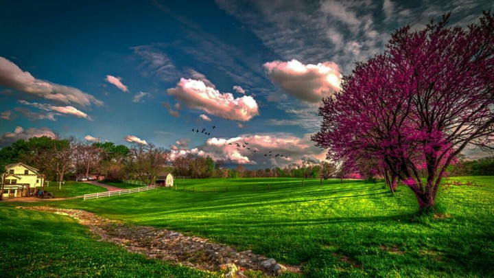 spring