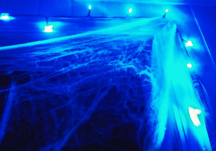 Spider Web Decor