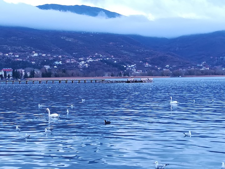 lake Ohrid