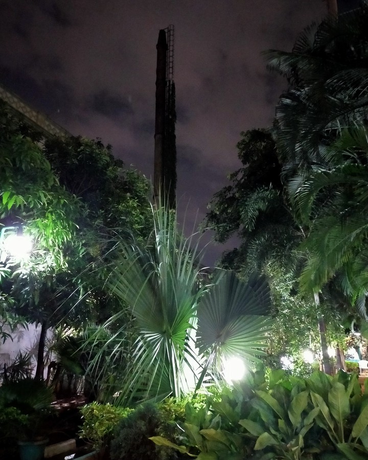 night