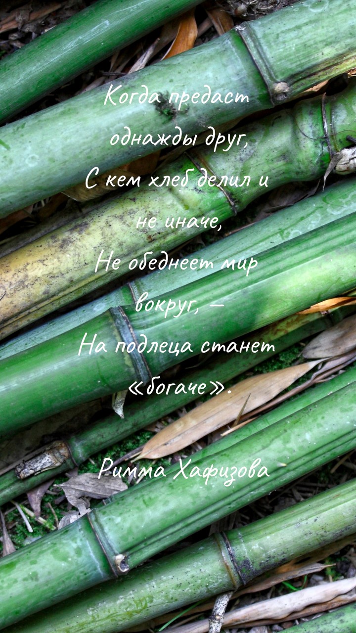 стих