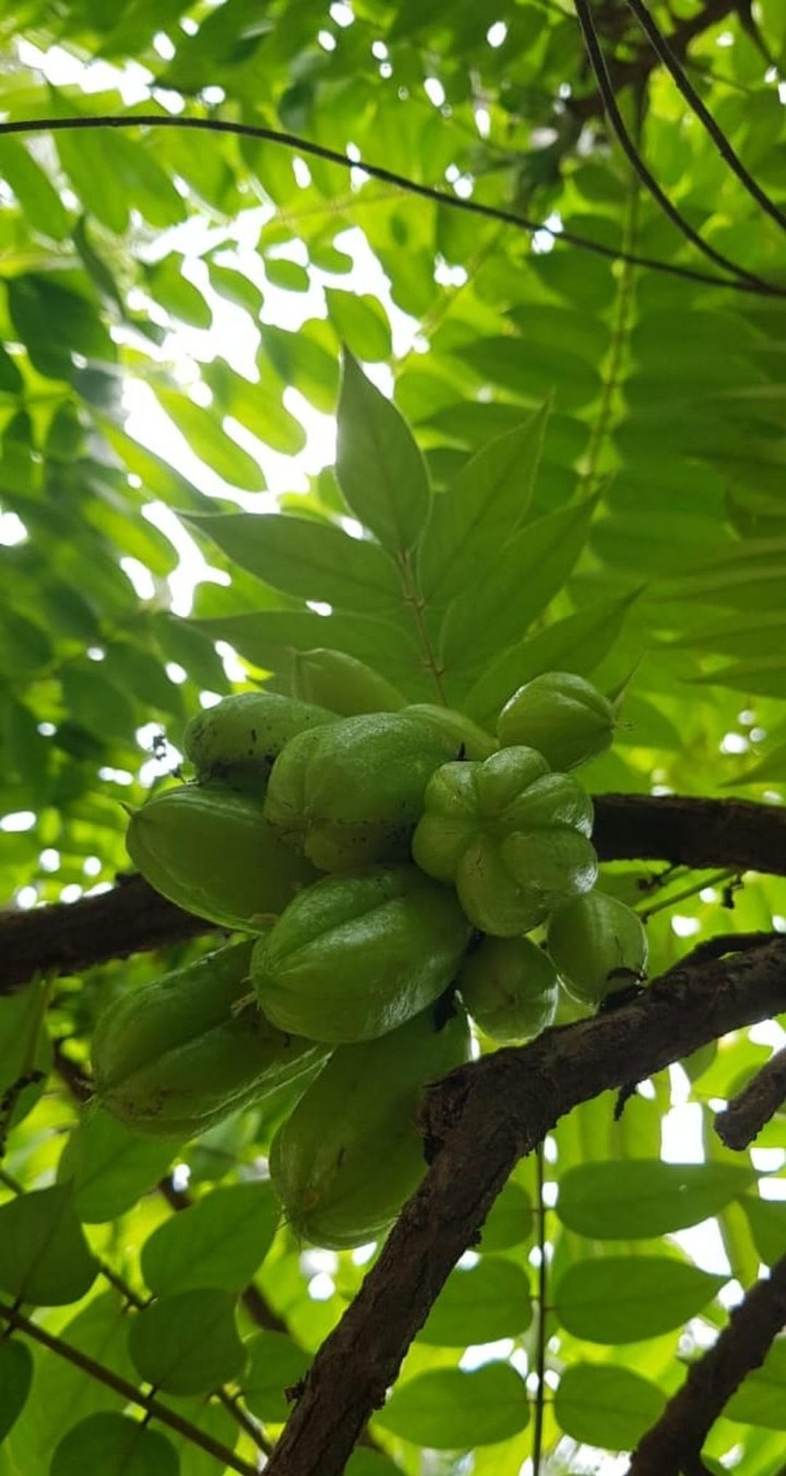 From our yard!!