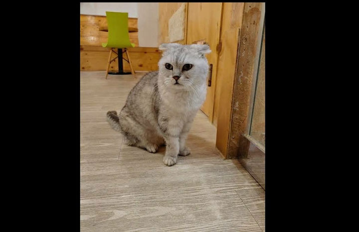 뭘봐?