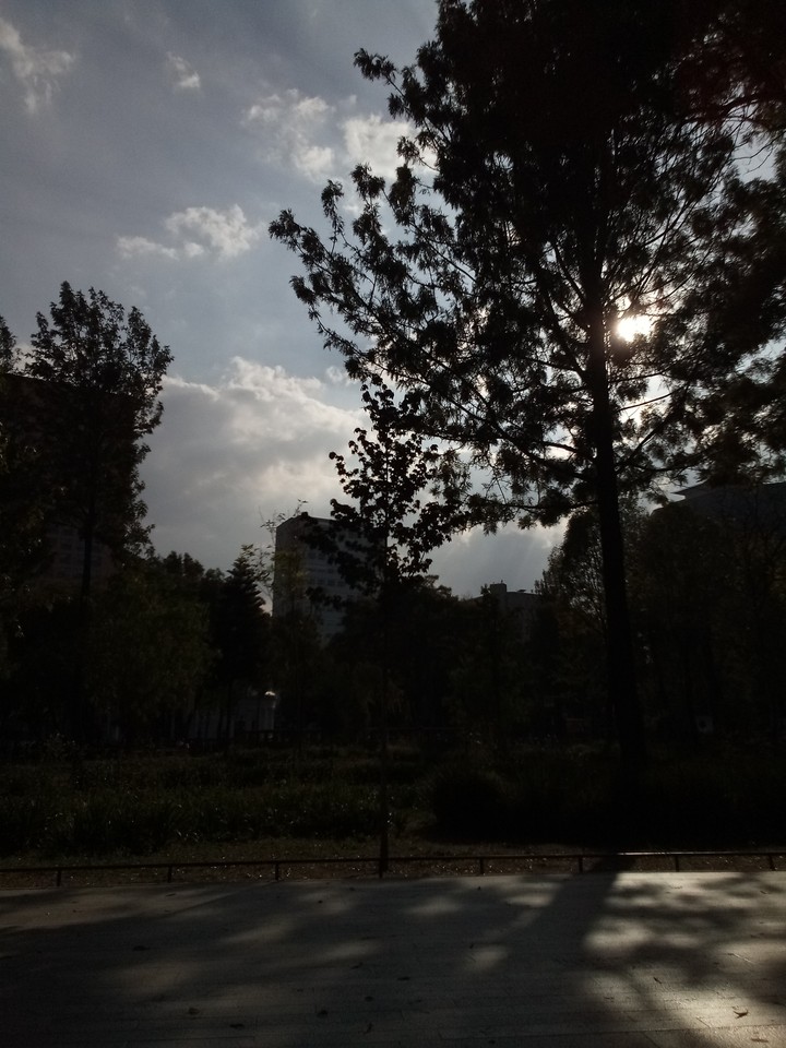 park