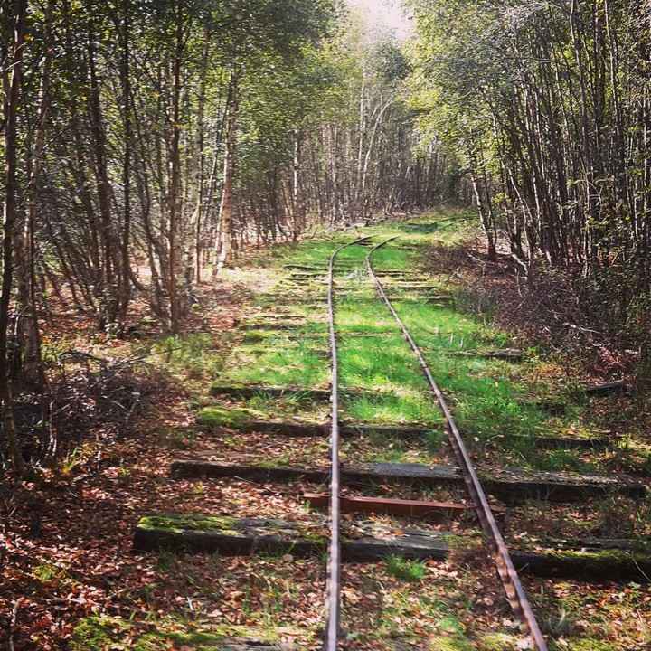 The way to nothing