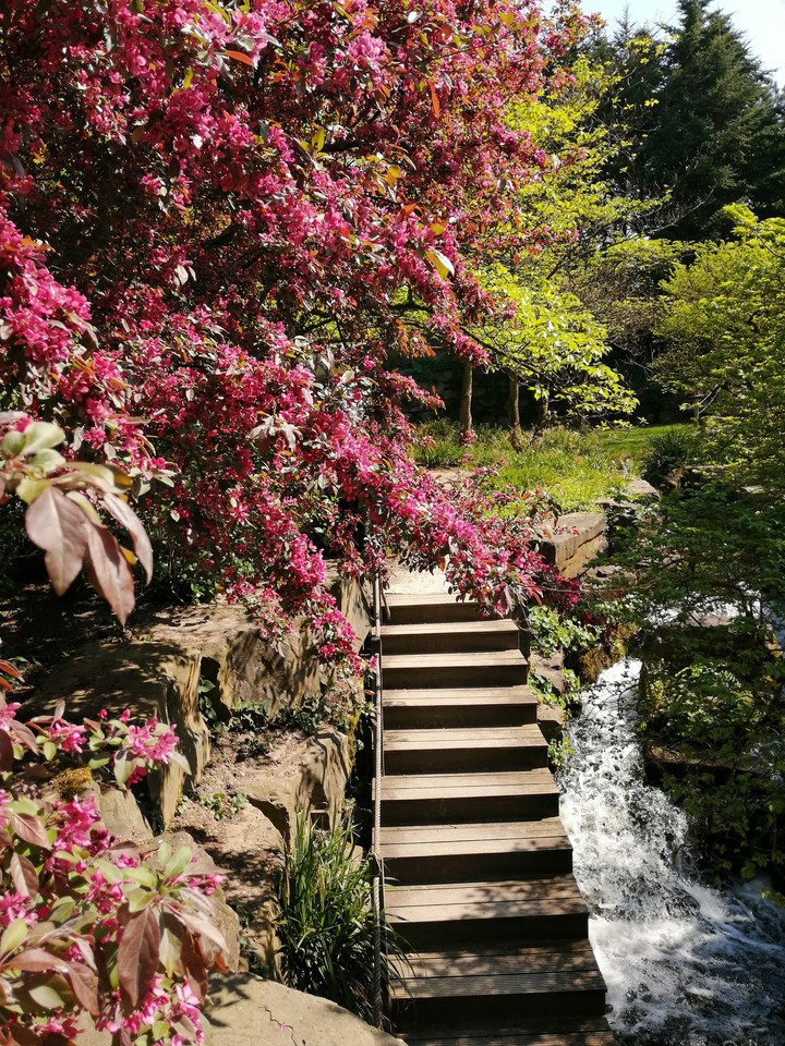 kasteeltuin Arcen