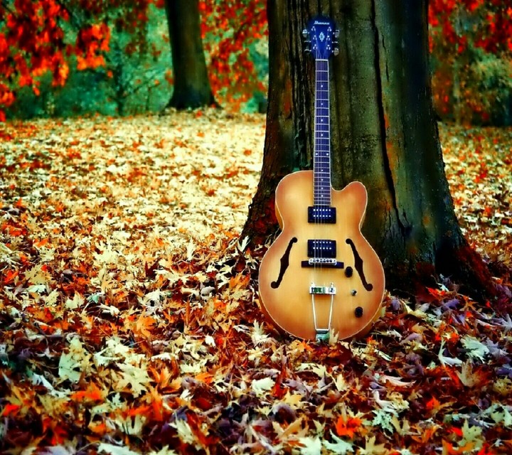 nature