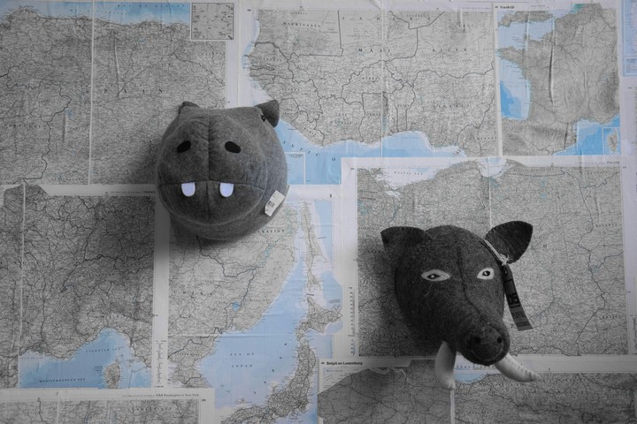 traveling//fake animals