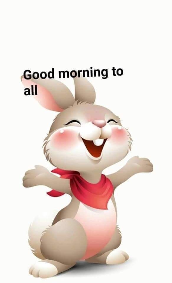 ❤ hello guys good morning ❤