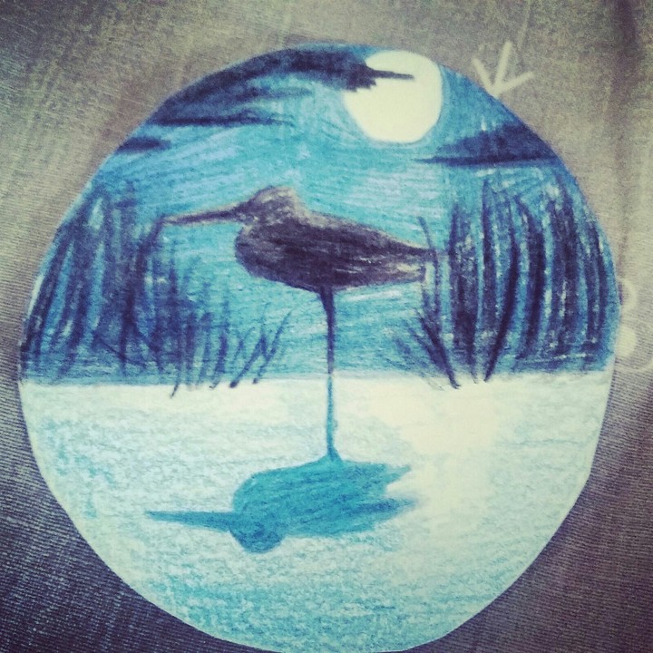 One Pond