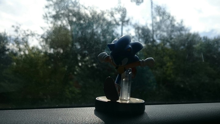 Run Sonic! Run!